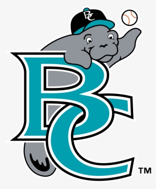 Brevard County Manatees Logo Png Transparent Vector - Brevard County Manatees #8810352