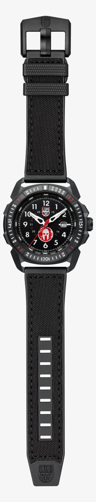 Luminox Ice Sar Arctic 1001 #8811095