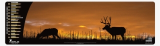 Mule Deer Sunset Magnum Xxl Promat - Elk #8811534