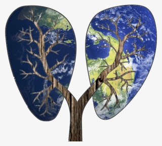 Clip Art Royalty Free Download Trees Are The Lungs #8813305