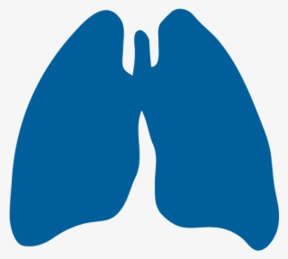 Precision Laboratory Instruments For Pulmonary Research #8813445