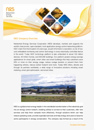 A Quick Overview Of Nes - Brochure #8813730