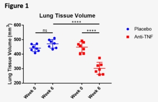 Tnf Tg Mice Lungs That Was No Longer Present After - Diagram #8814249