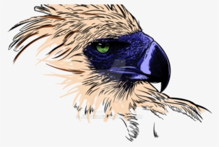Phillipine Eagle Clipart Vector - Philippine Eagle Logo Png #8816032