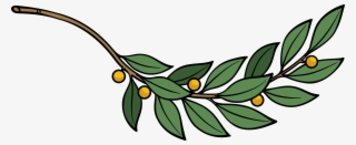 Laurel Branch - Laurel Leaves Clip Art #8816038