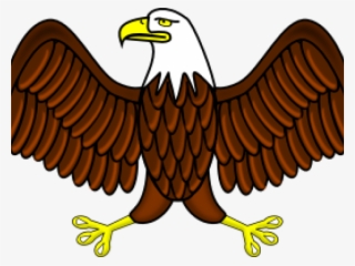 Phillipine Eagle Clipart Vector - Eagle Clipart #8816096