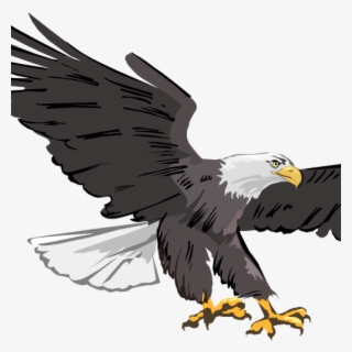 Clip Library Library Free Hatenylo Com Bald Images - Eagle Clipart #8816167