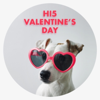 For The Boo Of Your Life - Companion Dog #8816257