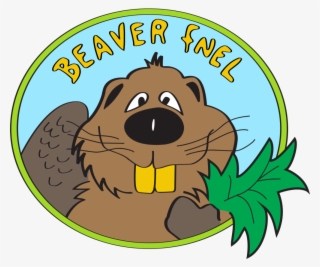 Beaver - Beaver Fnel #8817274