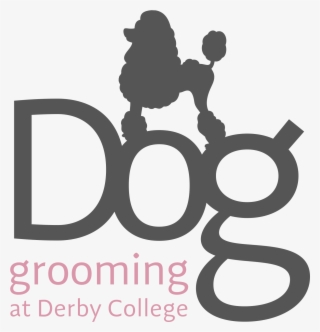 Dog Grooming - Poodle Vector #8817460