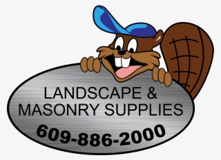 Follow - Cartoon #8817715