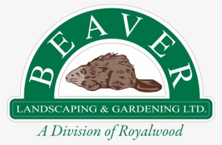 Beaver Landscaping & Gardening - M A House Gangster #8817874