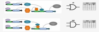 Logic Gates Such As Or And And (bottom) Can Be Encoded - Diagram #8817922