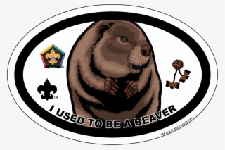 Categories - Wood Badge Buffalo #8818047