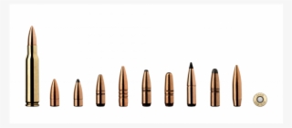 Ammo Png #8818742