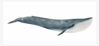 Whale Toys Schleich #8818901