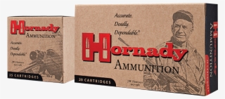 Custom™ - Hornady Custom #8818928