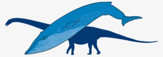 Blue Whale With Outline Of Titanosaur In Background - Whale #8819115
