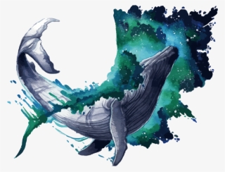 Blue Whale Ar - Illustration #8819411