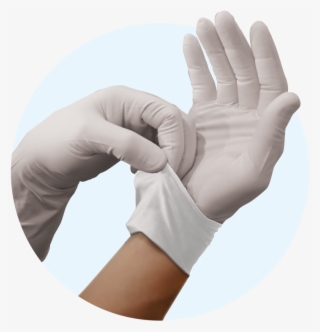 Supaflex Powder-free Latex Exam Gloves - Glove #8819650