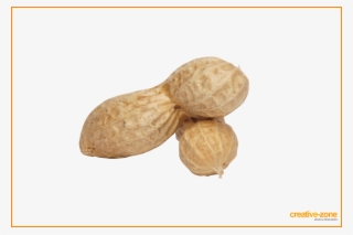 Peanuts, Arachis In Shell - Peanut #8819769