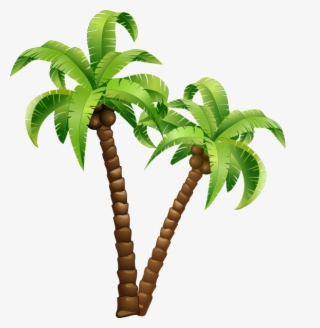 Palmeras - Cartoon Coconut Tree Png #8820789 Palmeras - Cartoon Coconut Tree Png #8820789