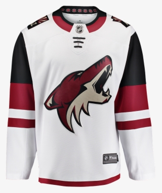 Arizona Coyotes Away Jersey #8822157