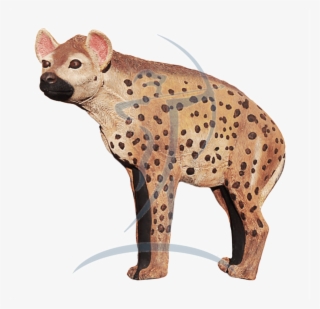 Asen/wildcrete 3d Hyena Large - Spotted Hyena #8822338