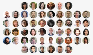 Iarc Judge Thank You-01 - Walmart Beyblades #8822394