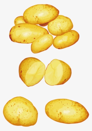 Potatoes Png Clipart - Vector #8824904