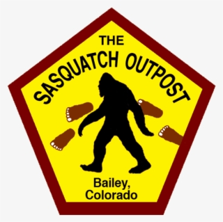 Flea Life Cycle #8825474