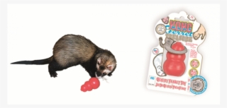 Small Animal Kong #8874914