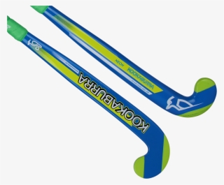 Kookaburra #8875105