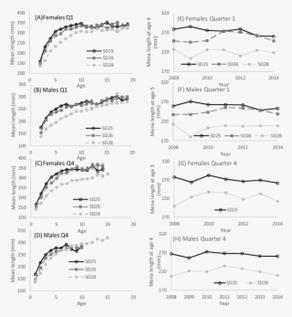 Mean Length At Age Of Flounders Per Subdivision (sd) - Diagram #8875777