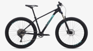 Xtrada - Polygon Xtrada 8 2018 #8876473