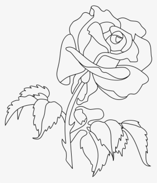 Big Image - Rose Drawing Png #8876776