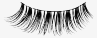 Long Clipart Eye Lashes - Transparent Fake Eyelashes Png #8877692