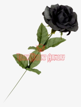 Black Roses Png #8878750