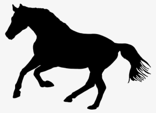 Black Silhouette Of Horse In Nature - Silueta De Un Caballo #8879095
