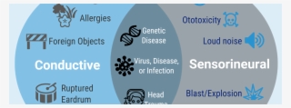 Causes Of Hearing Loss - Graphic Design #8880021