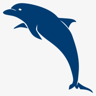 708 X 707 1 - Common Bottlenose Dolphin #8881685