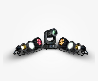 About Leksa - Bee #8881721