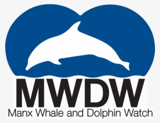 Adopt A Risso's Dolphin - Wholphin #8882066