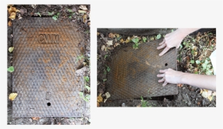 Locate Your Water Meter - Grass #8882096