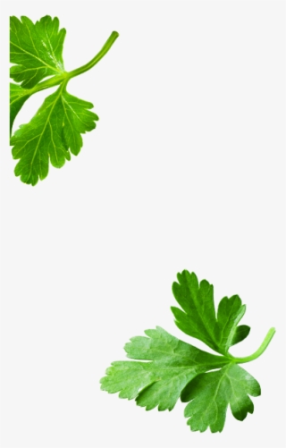 Clip Art #8882765
