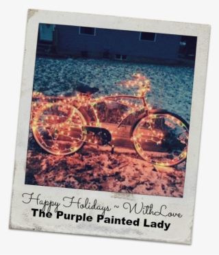 Old Bike The Purple Painted Lady Poloroid - Insect #8882812