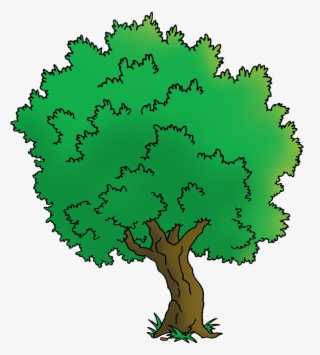 Homecaillou Cailloutree-01 - Oak #8883290