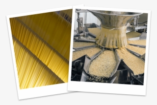 Where - Tamizado En La Industria Alimentaria #8883357