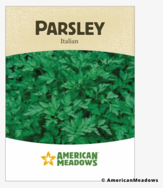 American Meadows #8883405