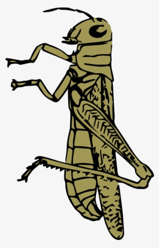 Grasshopper Rgb Color Model Computer Icons Color Space - Grasshopper Clip Art Colors #8883441